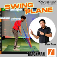What is Swing Plane?
