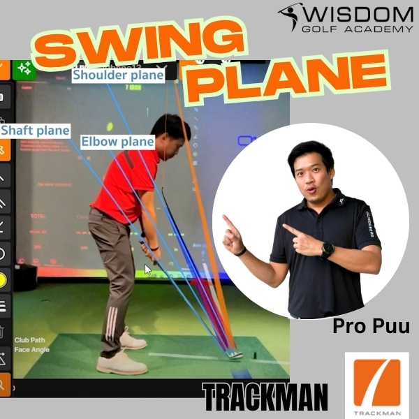 Swing Plane